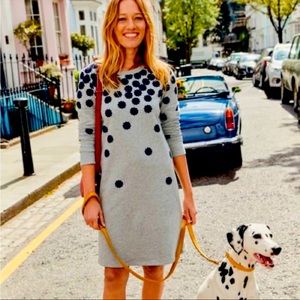 Boden Scattered Navy Flocked Floral Grey Long Sleeve Sweatshirt Dress Size 4